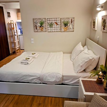 אתונה Studio Posh With Garden In Kolonaki מראה חיצוני תמונה